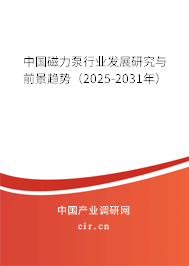中國(guó)磁力泵行業(yè)發(fā)展研究與前景趨勢(shì)（2025-2031年）