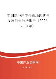 中國房地產(chǎn)中介市場現(xiàn)狀與發(fā)展前景分析報告（2025-2031年）