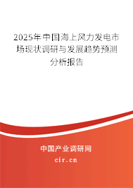 2025年中國海上風(fēng)力發(fā)電市場現(xiàn)狀調(diào)研與發(fā)展趨勢預(yù)測分析報(bào)告