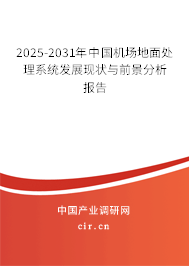 2025-2031年中國機(jī)場地面處理系統(tǒng)發(fā)展現(xiàn)狀與前景分析報(bào)告