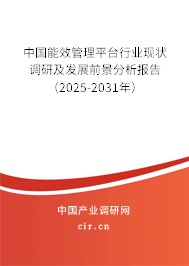 中國(guó)能效管理平臺(tái)行業(yè)現(xiàn)狀調(diào)研及發(fā)展前景分析報(bào)告（2025-2031年）
