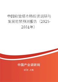 中國軟管塔市場現(xiàn)狀調研與發(fā)展前景預測報告（2025-2031年）