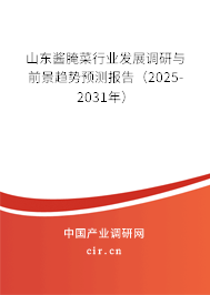 山東醬腌菜行業(yè)發(fā)展調(diào)研與前景趨勢(shì)預(yù)測(cè)報(bào)告（2025-2031年）