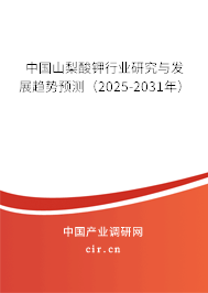 中國山梨酸鉀行業(yè)研究與發(fā)展趨勢預測（2025-2031年）