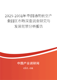 2025-2031年中國通用航空產(chǎn)業(yè)園區(qū)市場深度調(diào)查研究與發(fā)展前景分析報(bào)告