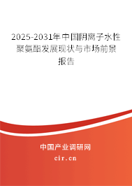 2025-2031年中國陰離子水性聚氨酯發(fā)展現(xiàn)狀與市場前景報(bào)告