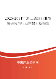 2025-2031年浙江原煤行業(yè)發(fā)展研究與行業(yè)前景分析報(bào)告