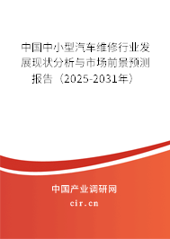 中國中小型汽車維修行業(yè)發(fā)展現狀分析與市場前景預測報告（2025-2031年）