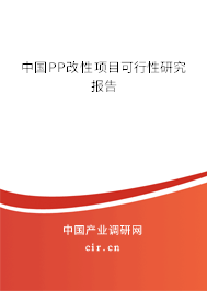 中國PP改性項目可行性研究報告