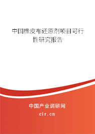 中國橡皮布還原劑項目可行性研究報告