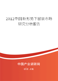 2012中國新形勢下服裝市場研究分析報告
