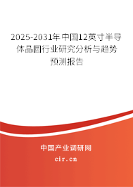 2025-2031年中國(guó)12英寸半導(dǎo)體晶圓行業(yè)研究分析與趨勢(shì)預(yù)測(cè)報(bào)告