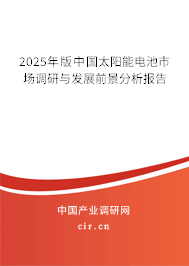 2025年版中國太陽能電池市場調(diào)研與發(fā)展前景分析報告