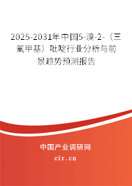2025-2031年中國5-溴-2-（三氟甲基）吡啶行業(yè)分析與前景趨勢預測報告