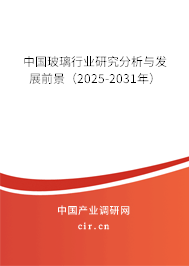 中國玻璃行業(yè)研究分析與發(fā)展前景（2025-2031年）