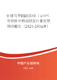 全球與中國超高純（UHP）零部件市場(chǎng)調(diào)研及行業(yè)前景預(yù)測(cè)報(bào)告（2025-2031年）