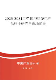 2025-2031年中國地?zé)岚l(fā)電產(chǎn)品行業(yè)研究與市場前景