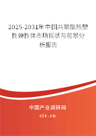 2024-2030年中國共聚酯熱塑性彈性體市場(chǎng)現(xiàn)狀與前景分析報(bào)告