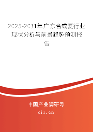 2025-2031年廣東合成氨行業(yè)現(xiàn)狀分析與前景趨勢預(yù)測報(bào)告