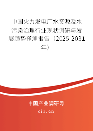中國(guó)火力發(fā)電廠水資源及水污染治理行業(yè)現(xiàn)狀調(diào)研與發(fā)展趨勢(shì)預(yù)測(cè)報(bào)告（2025-2031年）