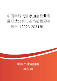 中國甲醇汽油添加劑行業(yè)發(fā)展現(xiàn)狀分析與市場前景預(yù)測報告（2025-2031年）