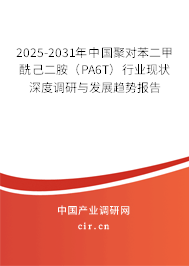 2025-2031年中國(guó)聚對(duì)苯二甲酰己二胺(PA6T)行業(yè)現(xiàn)狀深度調(diào)研與發(fā)展趨勢(shì)報(bào)告 2025-2031年中國(guó)聚對(duì)苯二甲酰己二胺(PA6T)行業(yè)現(xiàn)狀深度調(diào)研與發(fā)展趨勢(shì)報(bào)告