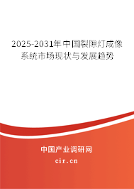 2025-2031年中國(guó)裂隙燈成像系統(tǒng)市場(chǎng)現(xiàn)狀與發(fā)展趨勢(shì)