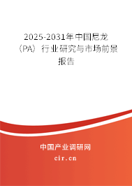 2025-2031年中國尼龍(PA)行業(yè)研究與市場前景報告 2025-2031年中國尼龍(PA)行業(yè)研究與市場前景報告