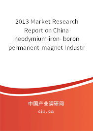 2013 Market Research Report on China neodymium-iron- boron permanent magnet Industry