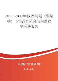 2025-2031年陜西純堿(碳酸鈉)市場(chǎng)調(diào)查研究與前景趨勢(shì)分析報(bào)告 2025-2031年陜西純堿(碳酸鈉)市場(chǎng)調(diào)查研究與前景趨勢(shì)分析報(bào)告