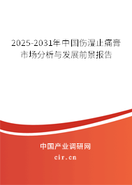 2025-2031年中國傷濕止痛膏市場分析與發(fā)展前景報(bào)告