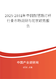 2025-2031年中國智慧路燈桿行業(yè)市場調(diào)研與前景趨勢報告