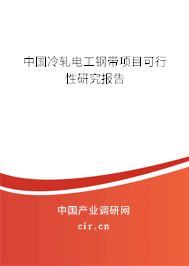 中國冷軋電工鋼帶項(xiàng)目可行性研究報(bào)告