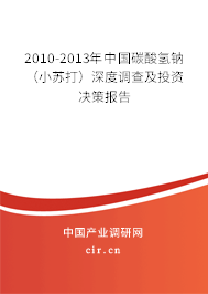 2010-2013年中國碳酸氫鈉（小蘇打）深度調(diào)查及投資決策報(bào)告