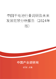 中國(guó)干電池行業(yè)調(diào)研及未來(lái)發(fā)展前景分析報(bào)告（2024年版）