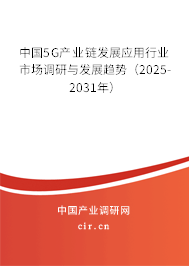 中國5G產(chǎn)業(yè)鏈發(fā)展應用行業(yè)市場調研與發(fā)展趨勢（2025-2031年）
