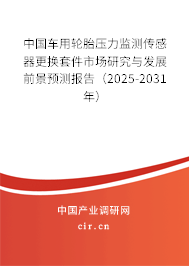 中國(guó)車(chē)用輪胎壓力監(jiān)測(cè)傳感器更換套件市場(chǎng)研究與發(fā)展前景預(yù)測(cè)報(bào)告（2025-2031年）