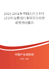 2025-2031年中國大尺寸TFT-LCD背光模組行業(yè)研究與前景趨勢預測報告