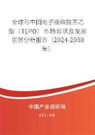 全球與中國(guó)電子級(jí)磷酸三乙酯（TEPO）市場(chǎng)現(xiàn)狀及發(fā)展前景分析報(bào)告（2024-2030年）