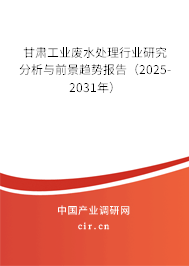 甘肅工業(yè)廢水處理行業(yè)研究分析與前景趨勢報告（2025-2031年）