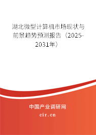 湖北微型計(jì)算機(jī)市場現(xiàn)狀與前景趨勢預(yù)測報(bào)告（2025-2031年）