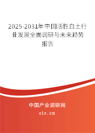 2025-2031年中國活性白土行業(yè)發(fā)展全面調(diào)研與未來趨勢報告