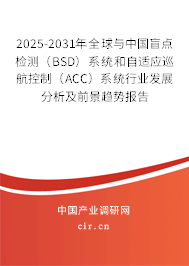 2025-2031年全球與中國盲點檢測（BSD）系統(tǒng)和自適應(yīng)巡航控制（ACC）系統(tǒng)行業(yè)發(fā)展分析及前景趨勢報告
