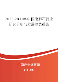 2025-2031年中國(guó)磨腳石行業(yè)研究分析與發(fā)展趨勢(shì)報(bào)告