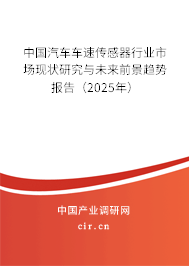 中國(guó)汽車車速傳感器行業(yè)市場(chǎng)現(xiàn)狀研究與未來前景趨勢(shì)報(bào)告（2025年）