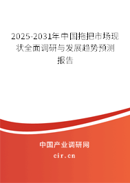 2025-2031年中國拖把市場現(xiàn)狀全面調(diào)研與發(fā)展趨勢預(yù)測報告