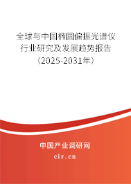 全球與中國橢圓偏振光譜儀行業(yè)研究及發(fā)展趨勢報(bào)告（2025-2031年）