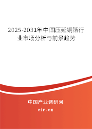 2025-2031年中國壓延銅箔行業(yè)市場分析與前景趨勢