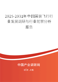 2025-2031年中國翼裝飛行行業(yè)發(fā)展調研與行業(yè)前景分析報告