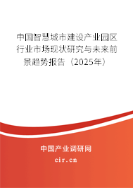 中國(guó)智慧城市建設(shè)產(chǎn)業(yè)園區(qū)行業(yè)市場(chǎng)現(xiàn)狀研究與未來(lái)前景趨勢(shì)報(bào)告（2025年）